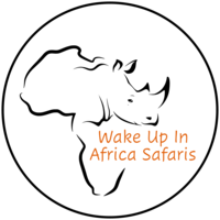 wakeupinafricasafaris.com